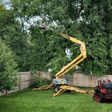 Best Tree Health Inspection  in Denton, NC